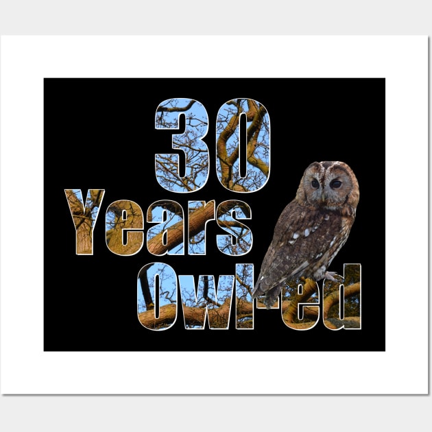 30 years owl-ed (30 years old) 30th birthday Wall Art by ownedandloved